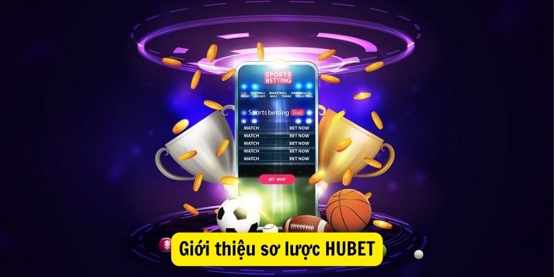 Giới thiệu sơ lược HUBET